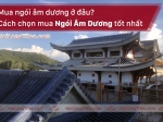 ngoi am duong Hai Long mua o dau