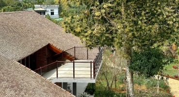 ngói hài cổ Hải Long Tiles