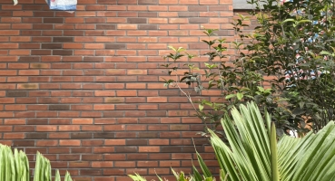 gạch ốp tường