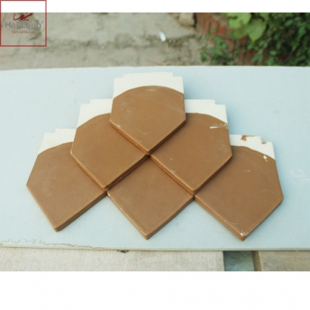 ngói biệt thự Pháp