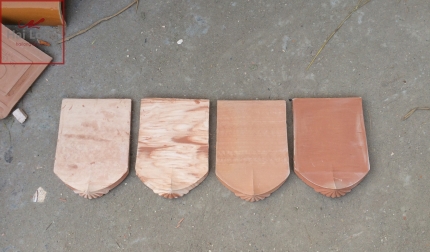 4 tông màu ngói Hài cổ 01