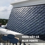 Ngói vảy cá Bluefonte lợp biệt thự Tân Cổ Điển 01